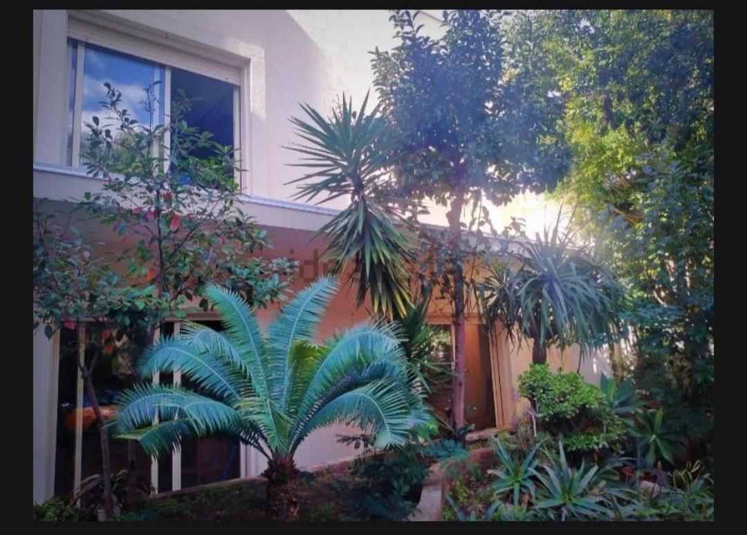 Villa Maya Villa San Giovanni Ngoại thất bức ảnh